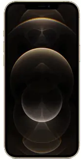 iPhone 12 Pro Max Reparatur