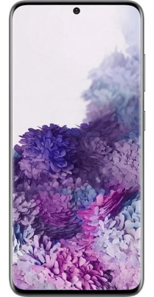Galaxy S20 Plus Reparatur