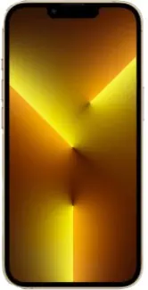 iPhone 13 Pro Max Reparatur