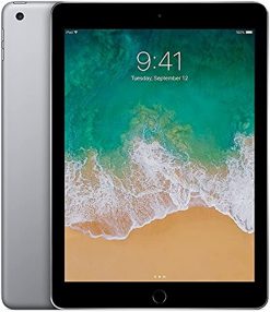 iPad (5.Gen) (A1822/A1823)