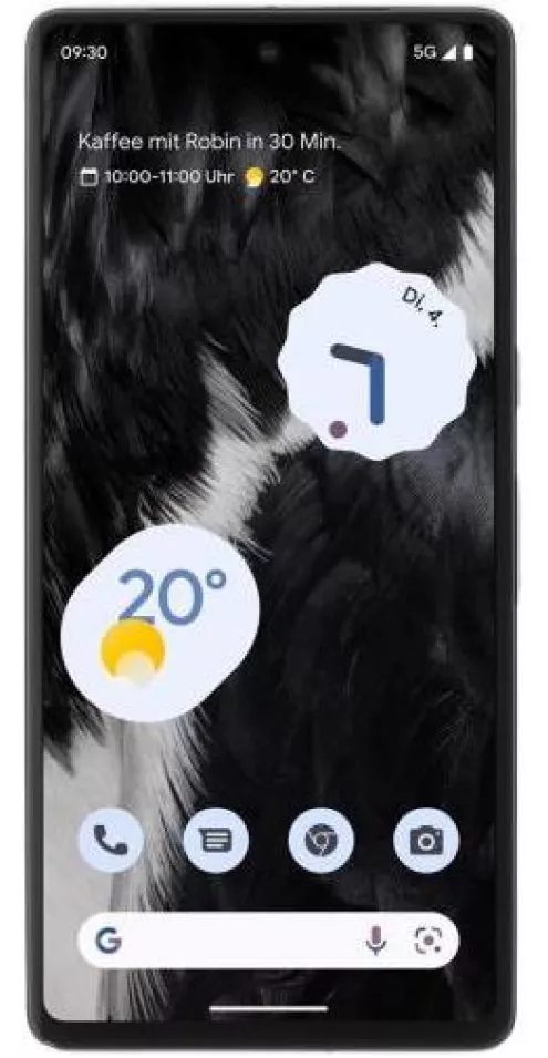 Google Pixel 7 Pro Reparatur
