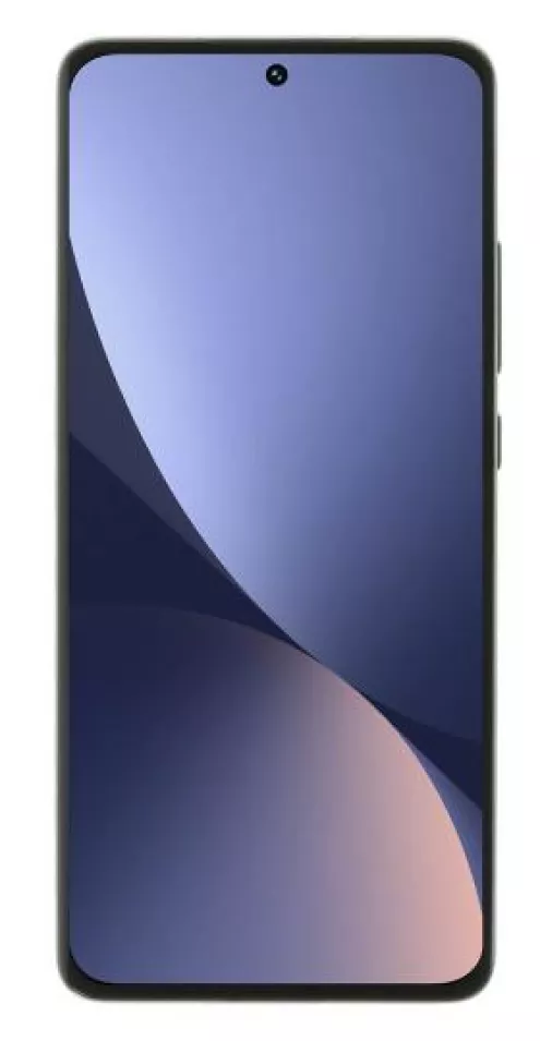 Xiaomi 12 5G Reparatur