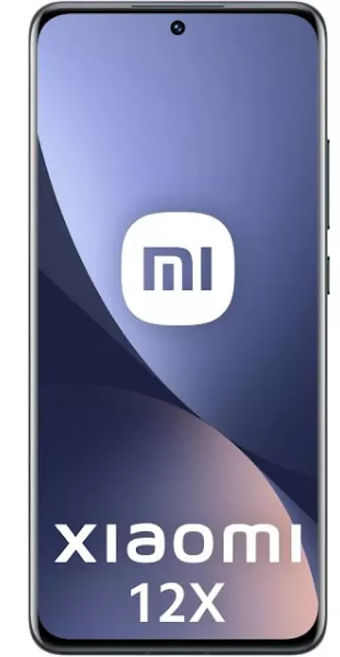 Xiaomi 12X Reparatur