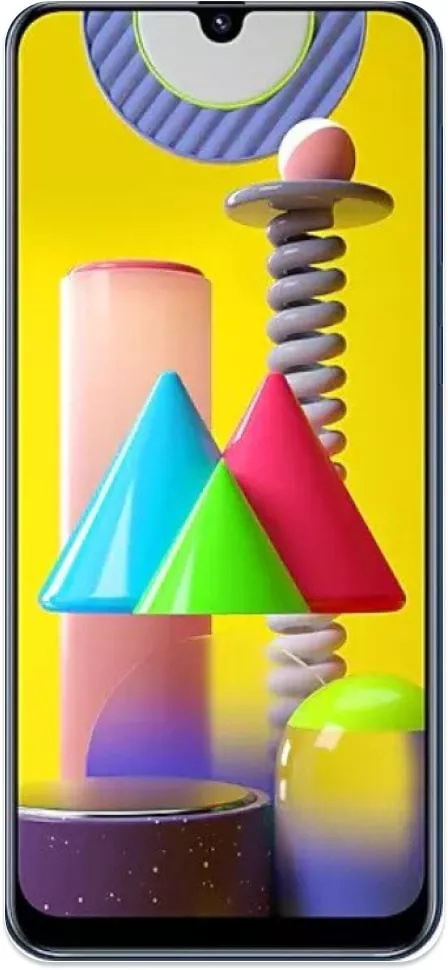 Galaxy M30s/M31s Reparatur