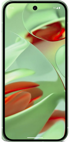 Vorderansicht des Google Pixel 9 Smartphones.