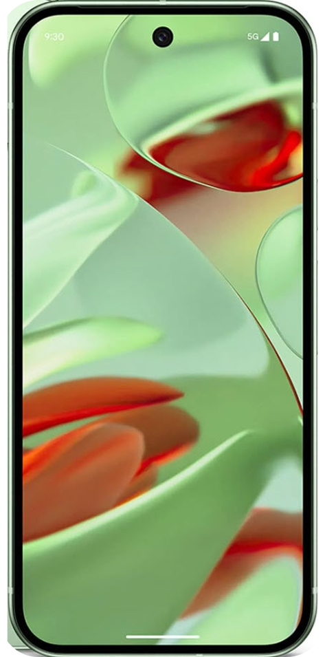 Google Pixel 9 Reparatur